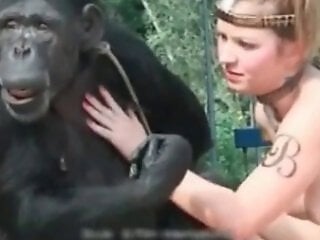 Animal Sex Porn Tube